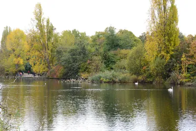 DSC_0566 (Large).JPG